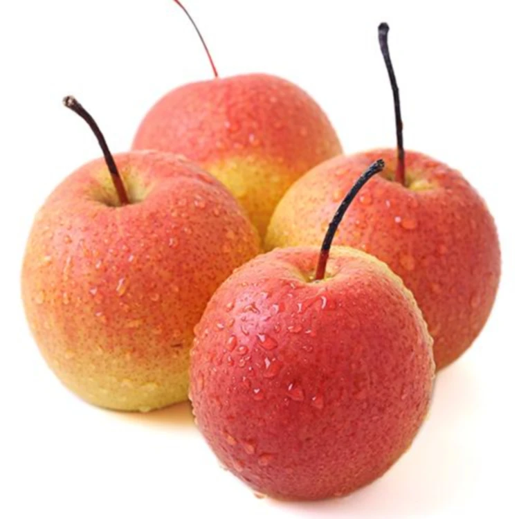 Оптовая продажа качественных надежных фермерских свежих красных груш без пестицидов