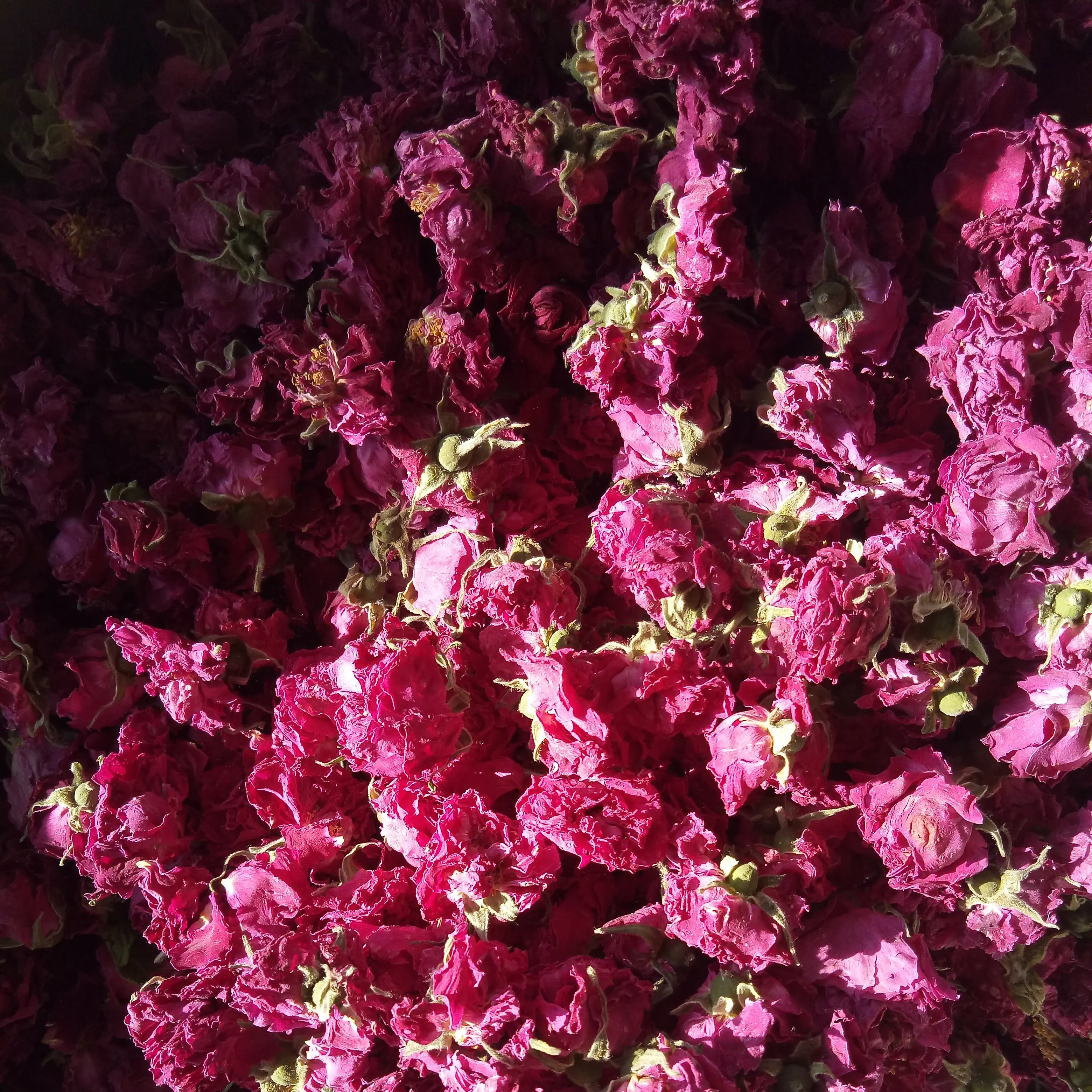 Премиум натуральный цветочный Цветущий чай сушеный съедобный цветок розы