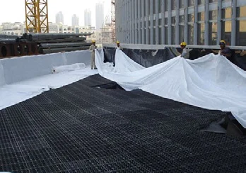High Quality Drainage Cell Layer Used Drainage Board Sheet for subsurface