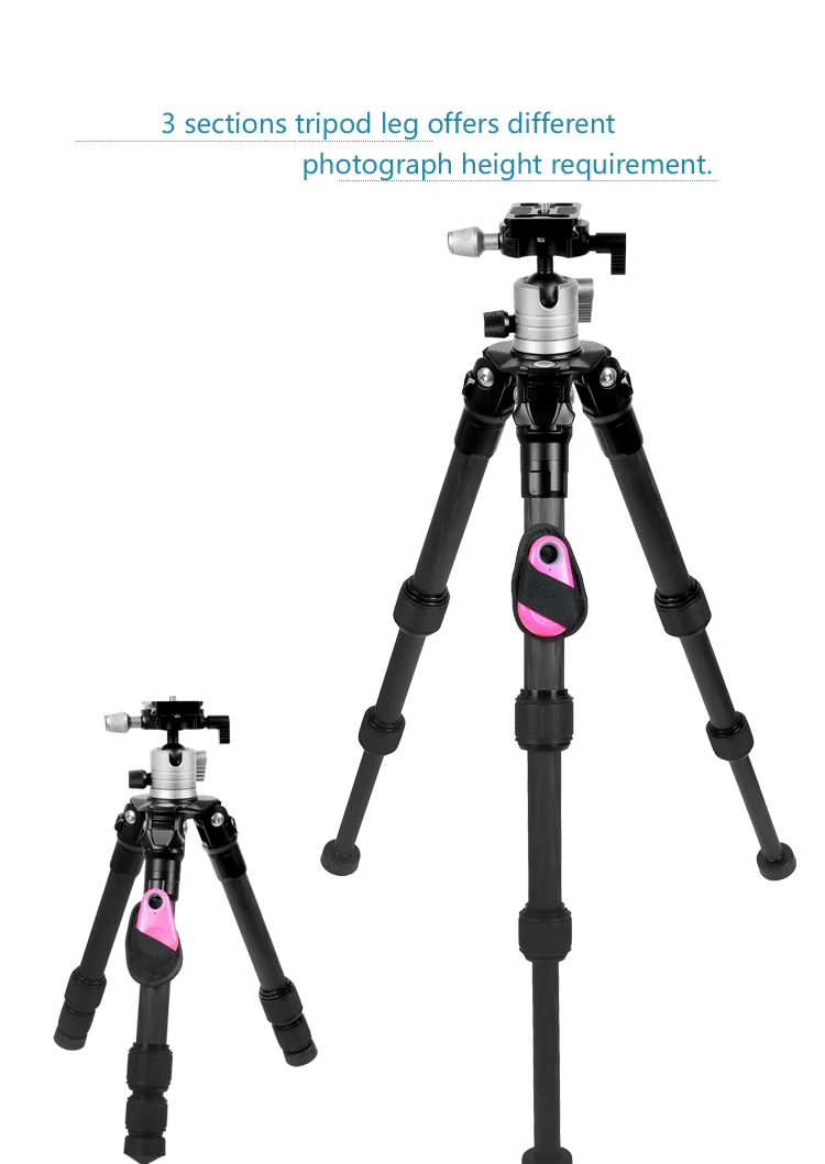 Lightweight Heavy Duty DSLR Camera Carbon Fiber Tripod with Ball Head Quick Release Plate Stand