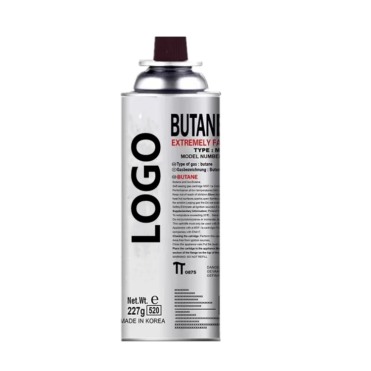 China Wholesale for European Market Butane Gas Cartridge Outdoor Portable MSDS & CE