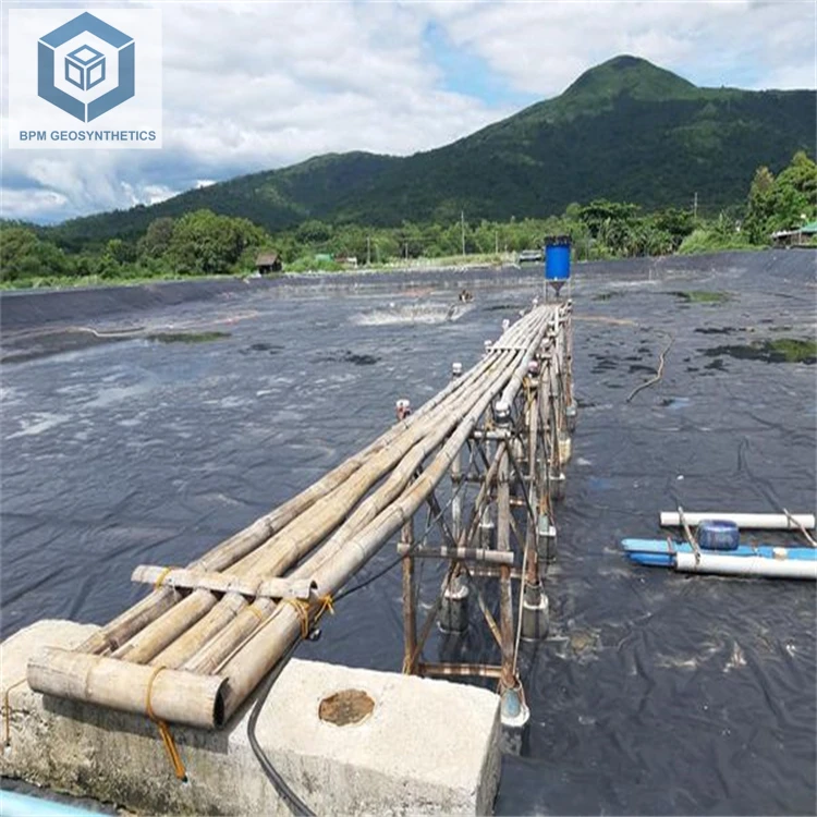 Shrimp Pond Liner High Density Pond Liner for Aquaculture Shrimp in Ecuador