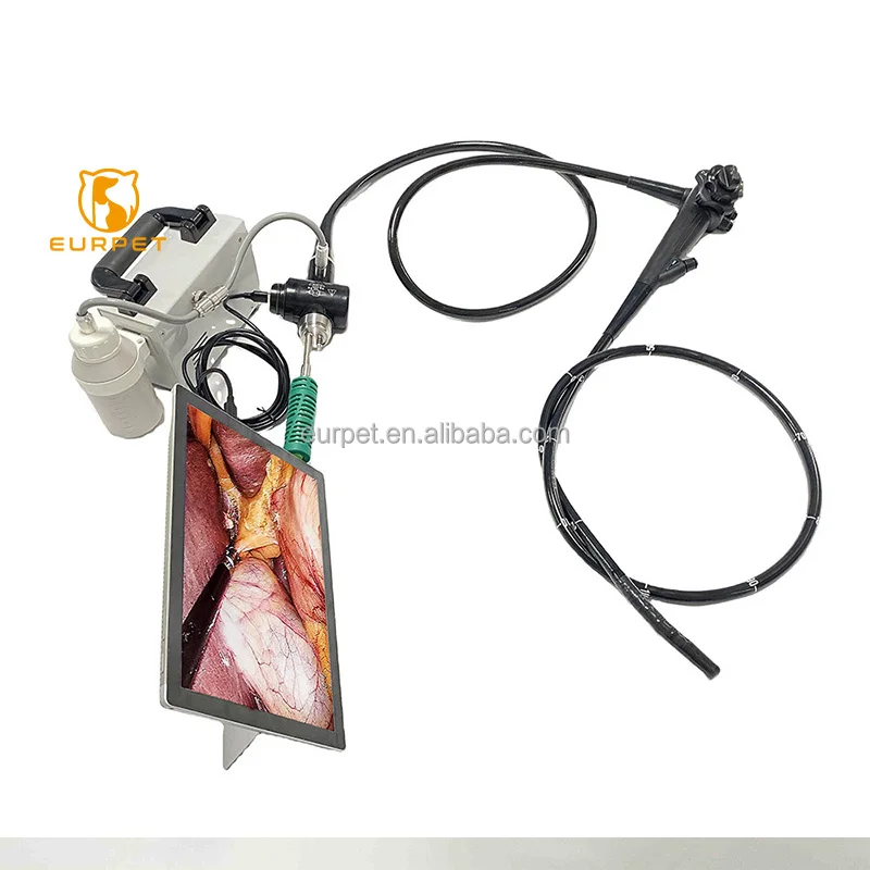EURPET Veterinary Equipment  Veterinary Surgical Instrument Portable Type Colonoscope for Clinic (1600565758766)