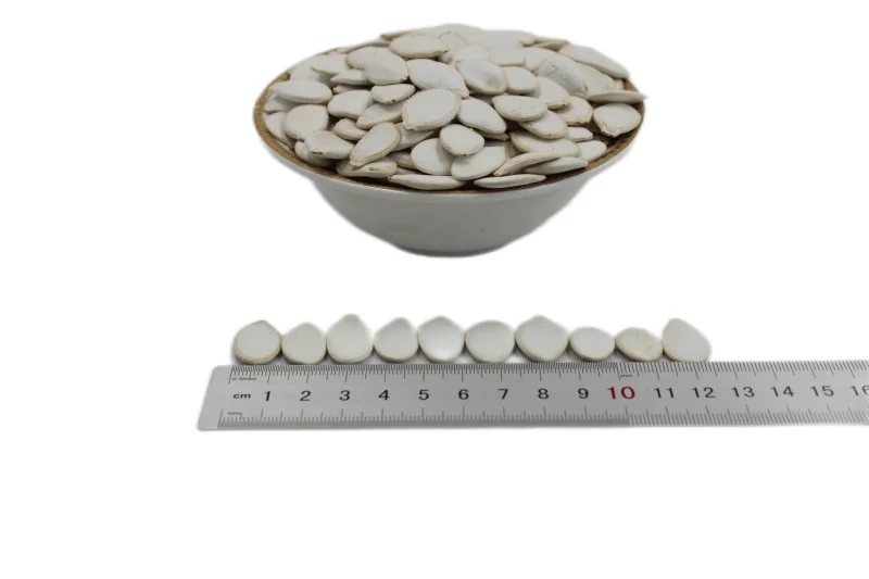 High Quality Snacks Dried Food Shine Skin Pumpkin Seeds Fresh Snow White Pumpkin Seeds