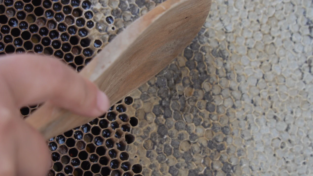 Прямая поставка от производителя, высокое качество, в баночке, упаковка, натуральный мед