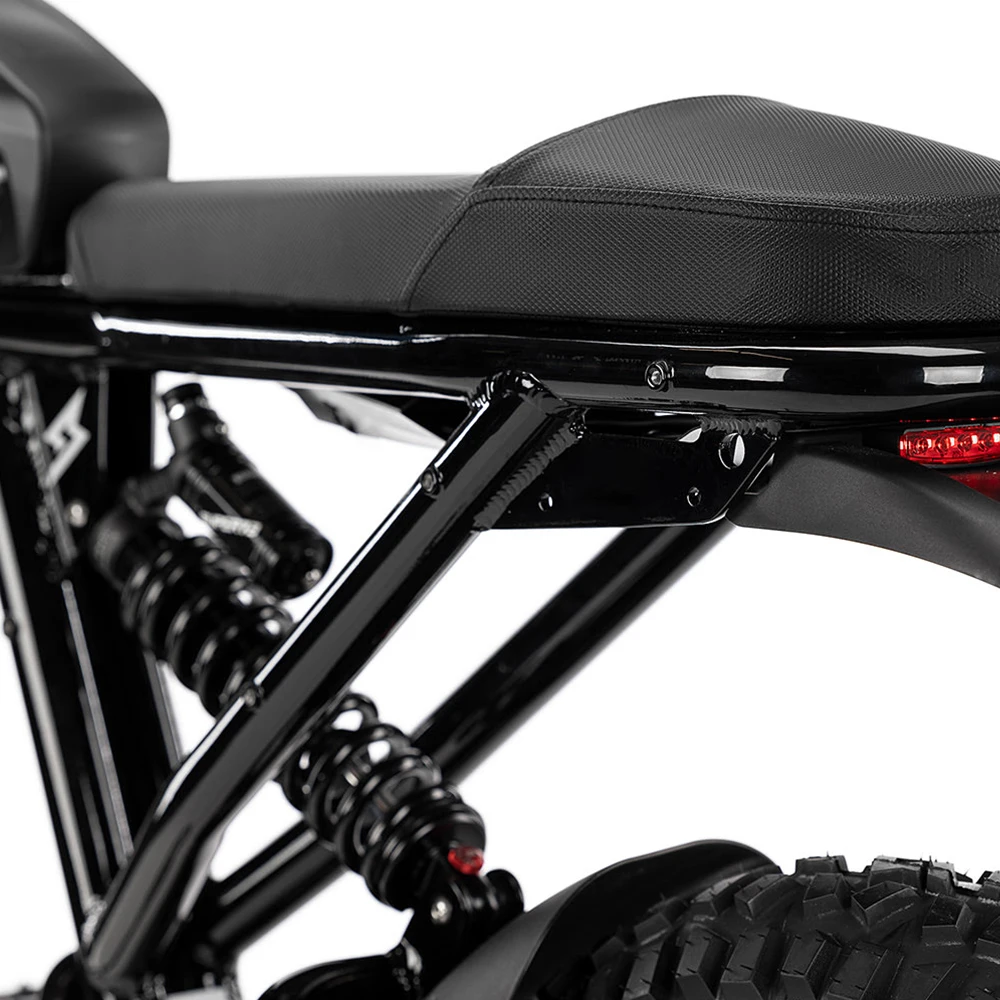 2022  20 inch Off Road Electric Dirt Bike with  48V 17.5Ah 750W hub motor fat tire electric bike for adults