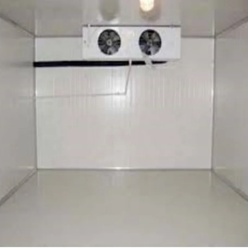 20ft Mobile Container Best Solar power cold storage room for fish meat vegetable