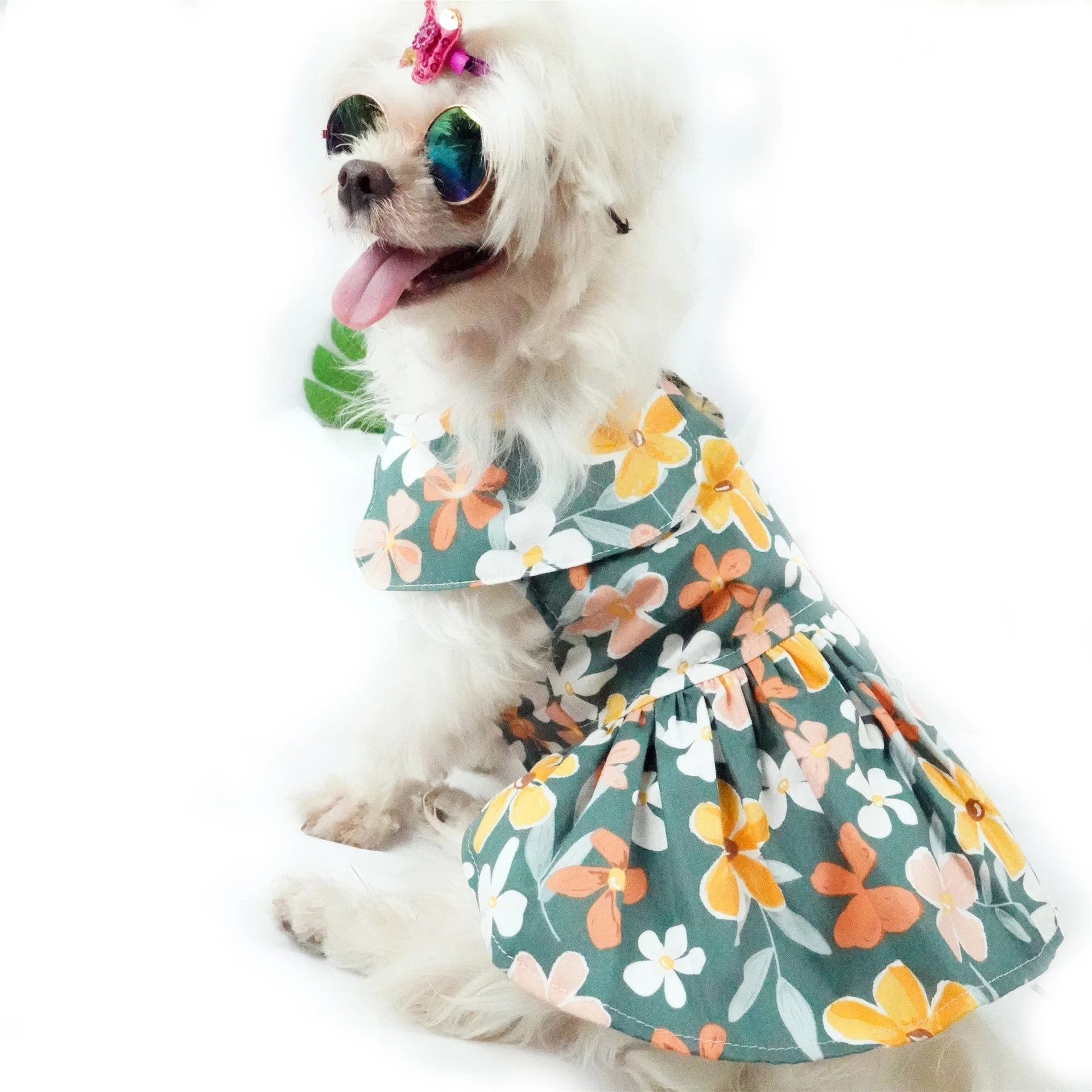 Customized Doll Collar Cute Print Group Brand Designer Luxury Dog Clothes For Large Dog
