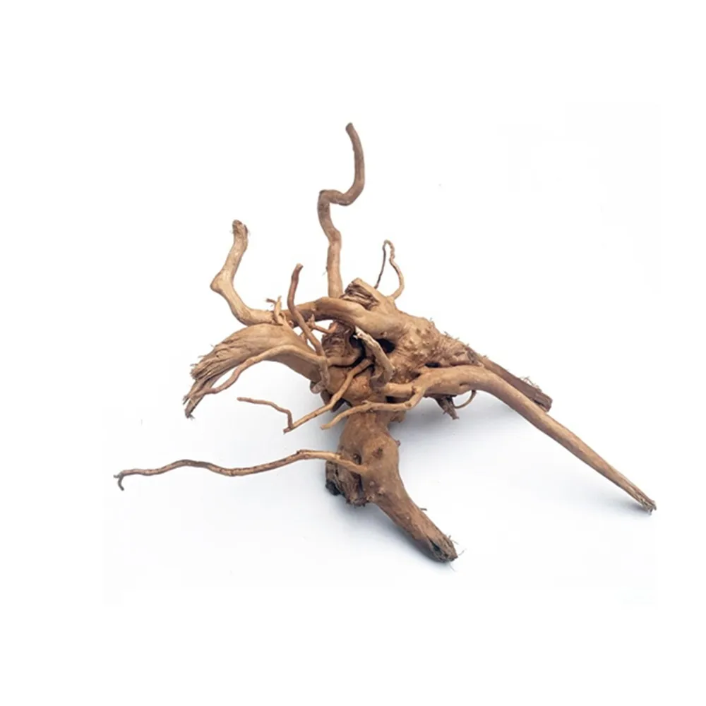 Azalea Root For Fishtank Bonsai Driftwood Aquarium Driftwood Aquarium