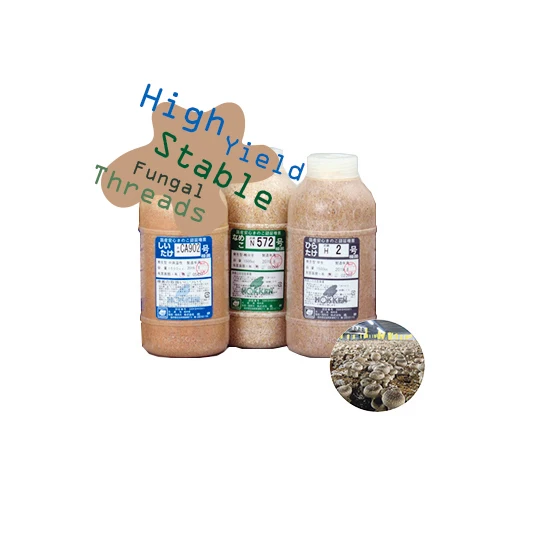 High efficiency compost growing spawn mushroom cultivation bag filling