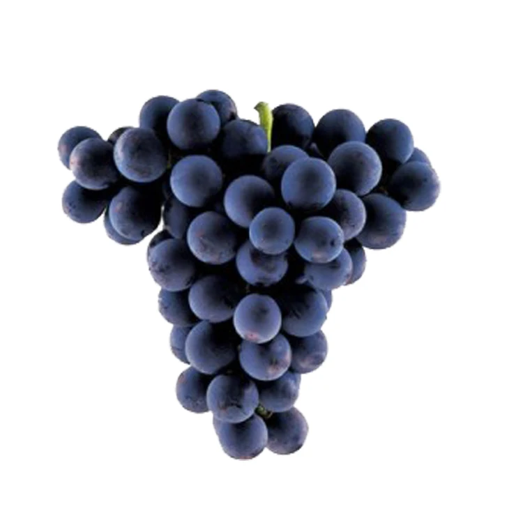 
Wholesale Box Style Storage Packaging Grape Nursey Moondrops Grape Sonaka Grapes Fresh 