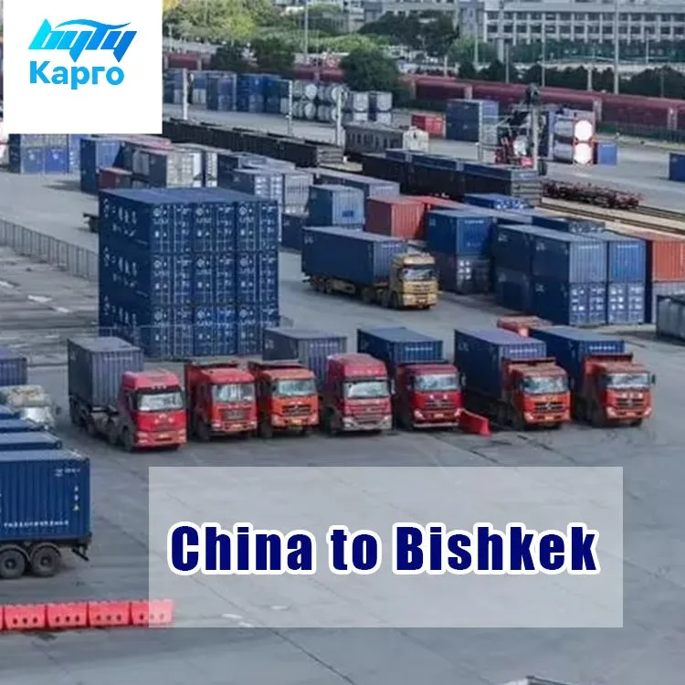 Shipping Agent To Russia Minsk Belarus DDP Double Clearance Tax Container FCL LCL Shipping To Minsk Belarus