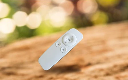 Infrared Heating Carbon Heater 2500W 6-stage Switching Remote Controlled