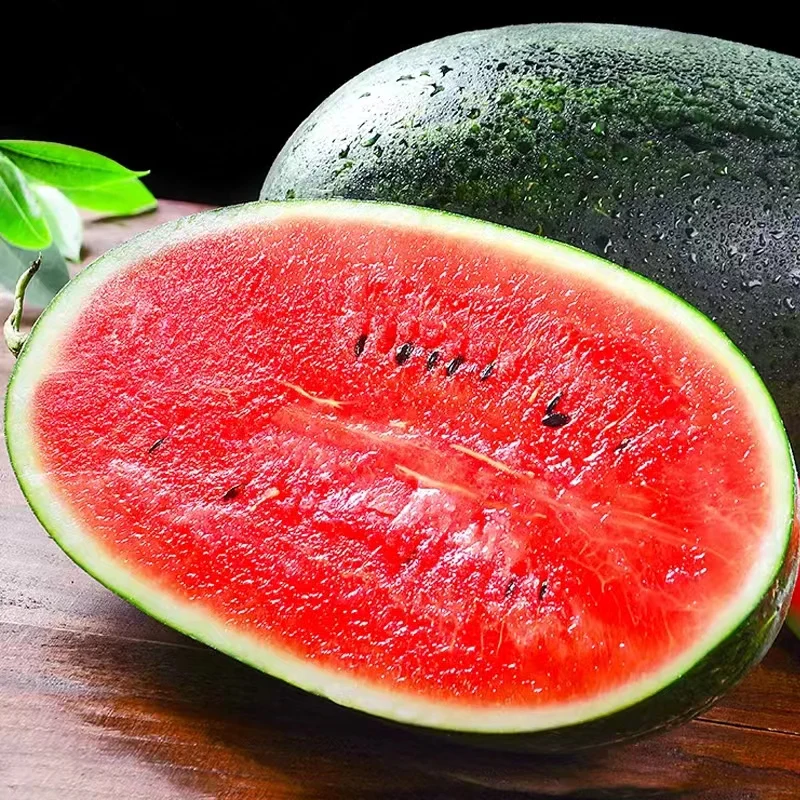 Export Chinese farm fresh watermelon High Quality Imported Vietnamese Black Beauty Watermelon Ready to Ship Fresh Watermelon