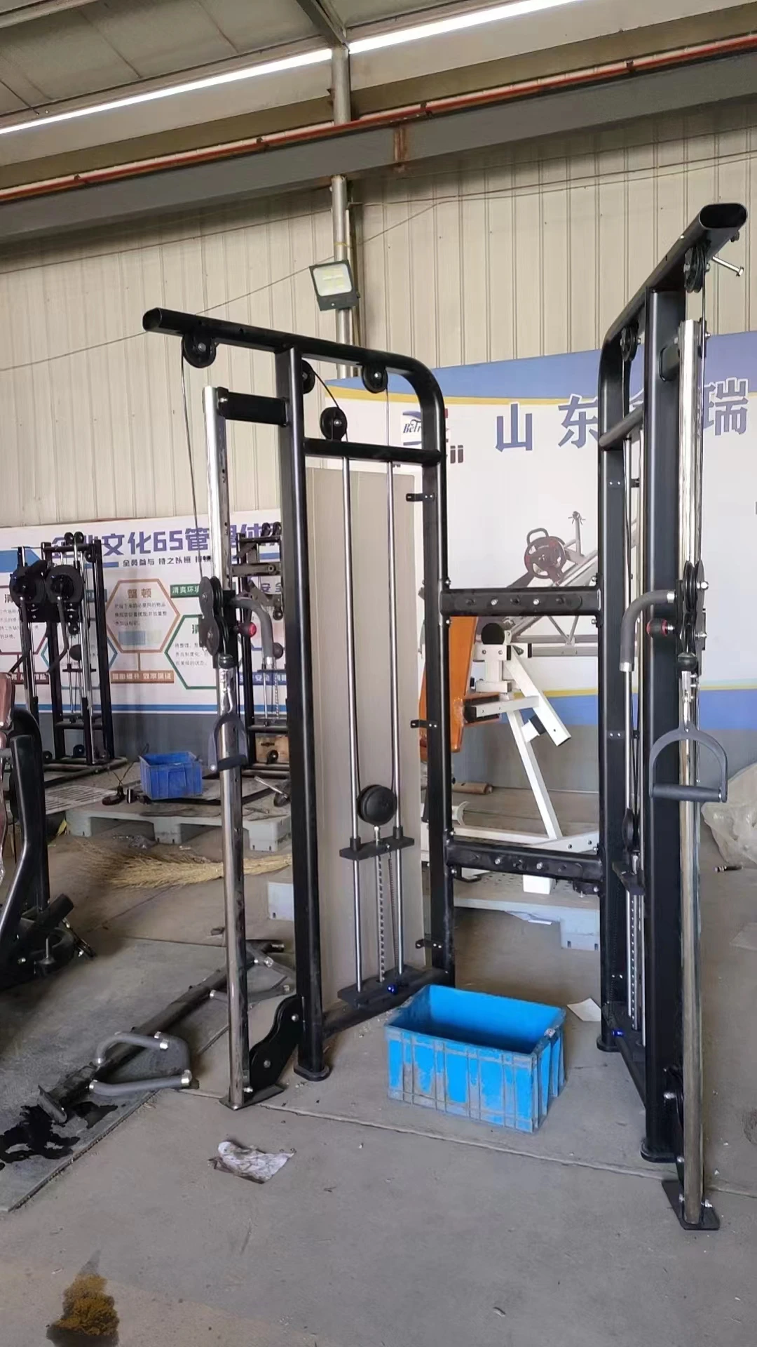 Functional Trainer Strength training fitness equipment bodybuilding exercise sport sporting gym machine muti function trainer