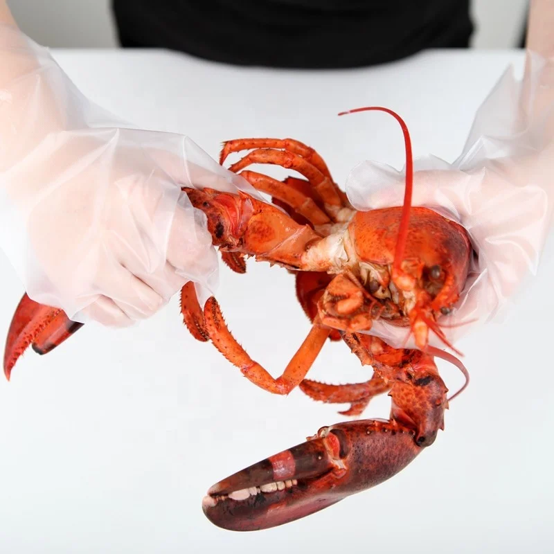 Polyethylene TPE Gloves Antibacterial PE Gloves Food Gloves