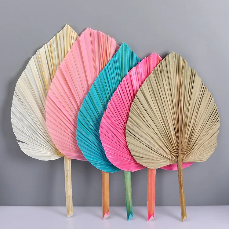Boho Wedding Decor Natural Flower Plant Preserved Large Tropical Dry Palm Spears Fan Leaf Bleach White Small Dried Palm Leaves