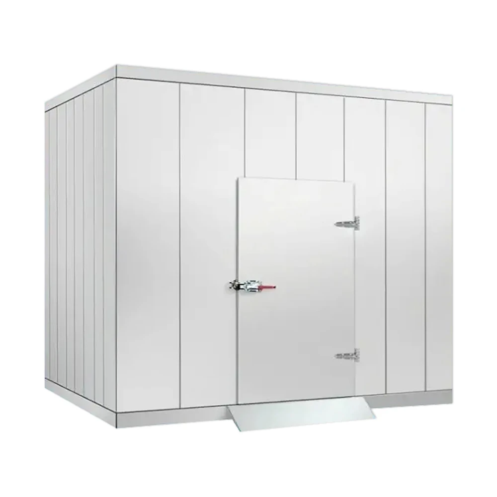 Newels Blast Container Chambre Froide Automatic Cold Room Walk In Refrigeration Unit