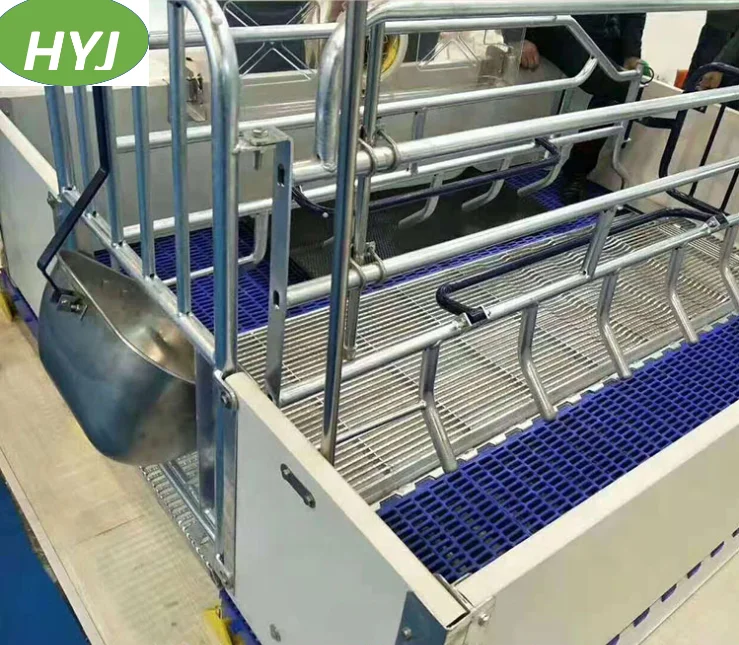 PVC Board Pig Farm Covered Farrowing Crates For Sale European Style