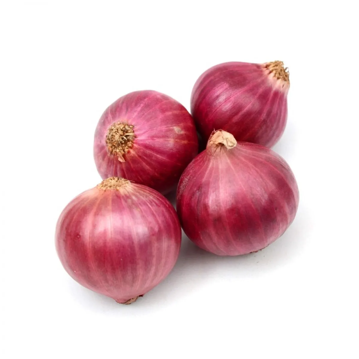 New Chinese fresh yellow red onion with fillet bag original violet onion white garlic supplier China