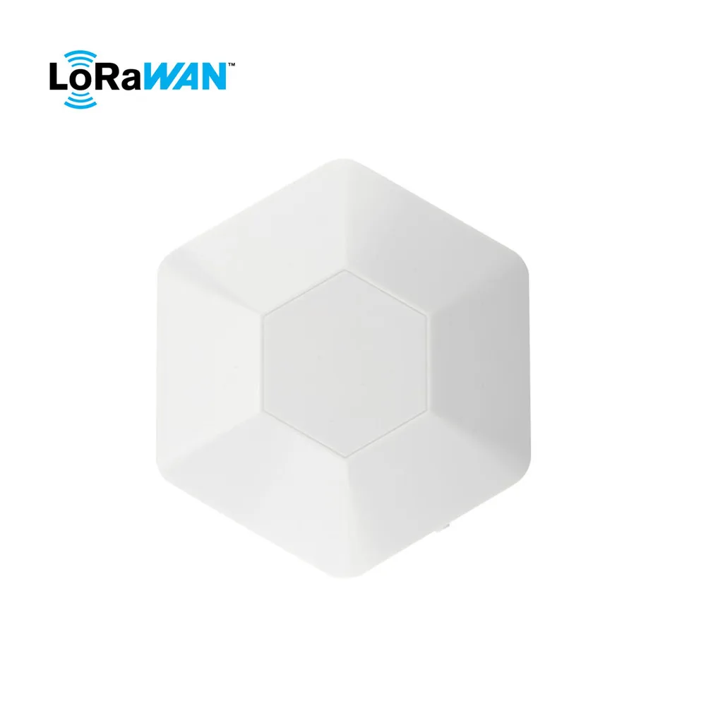 Wireless BLE Receiver Helium TTN LoRaWAN Sensor Probe for Asset/Personal Tracking