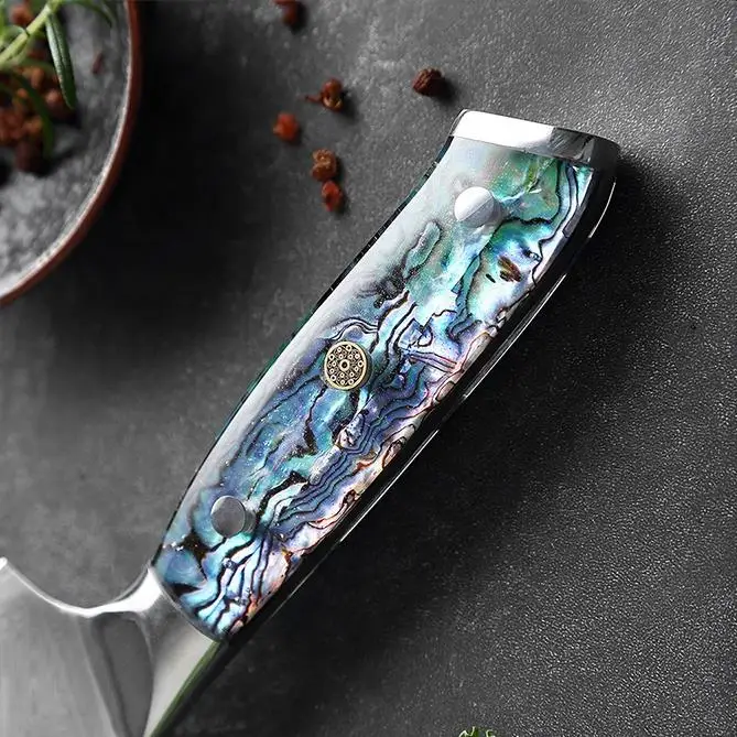 5PCS Damascus Steel Set Damascus VG 10 Chef Knife Set Japanese Santoku Knives with Exquisite Shell Abalone handle