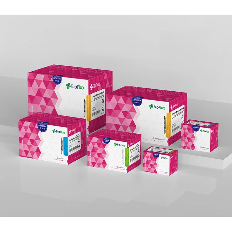 Bioer BSC86 Magabio Plus Nucleic Acid Extraction Kit DNA/RNA Extraction Purification