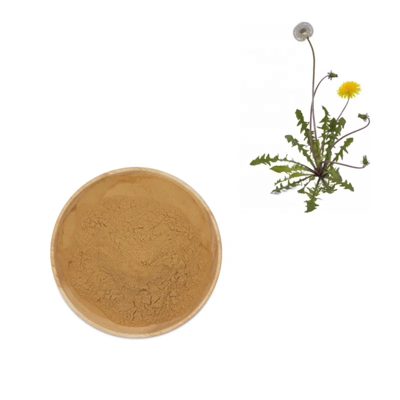 Натуральный Растительный Экстракт корня Одуванчика в порошке 10:1