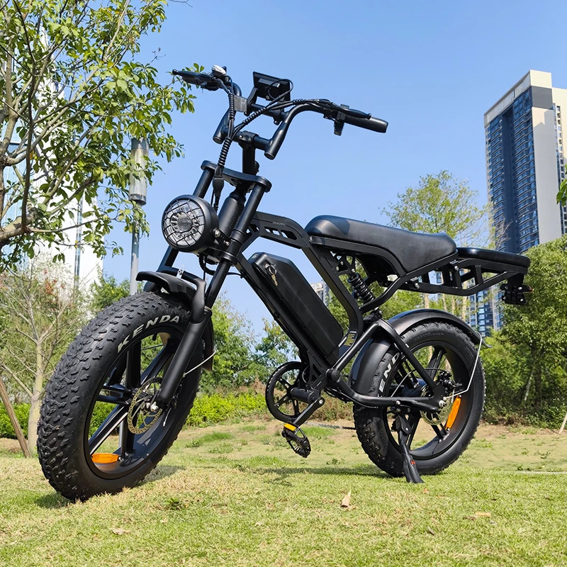 Netherlands E-Bike 48v 250watt 750w E Bike Electric Bike Fat Tire Dirt Ebike for Adults Men Sales Electric Bicycle