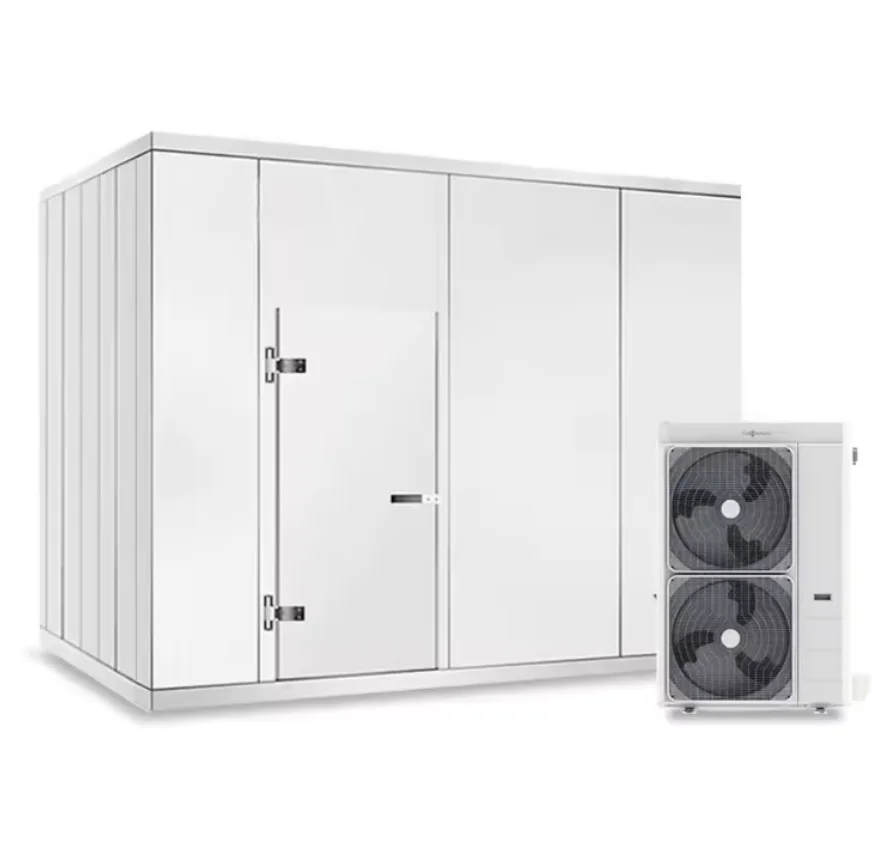 Walk-In Chamber Industrial Refrigeration Cold Storage Freezer Cold Room Price