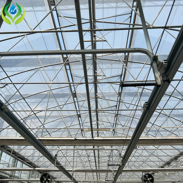 MYXL Economic Double Pe Po Film Multi Span Green House For Plants