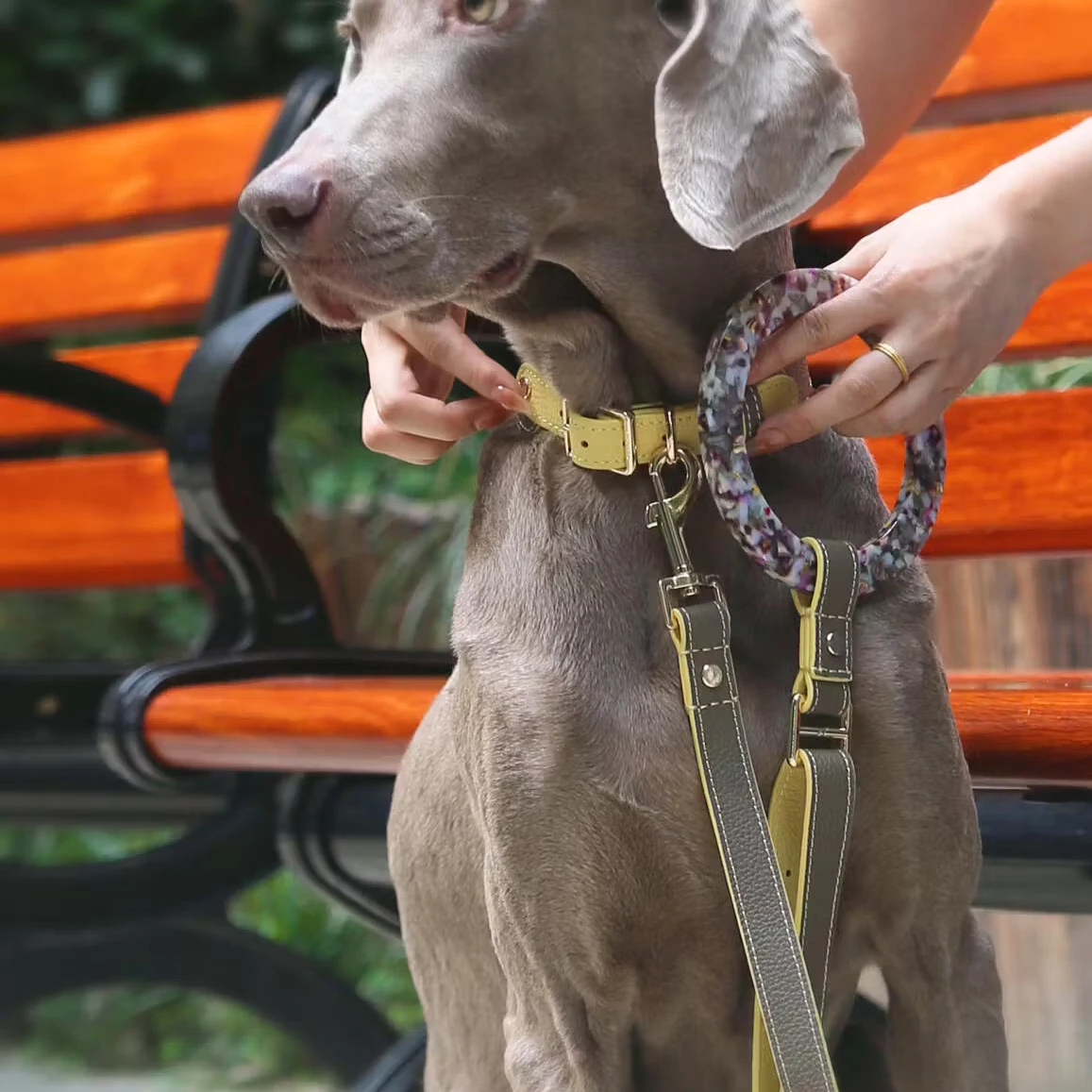 New Fashion Luxury Polo Wide Design Leather Dog Collar Ring Resin Hundehalsband