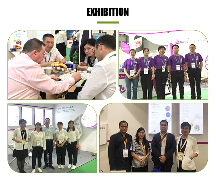 Water Soluble Chicory Root Extract Inulin Powder