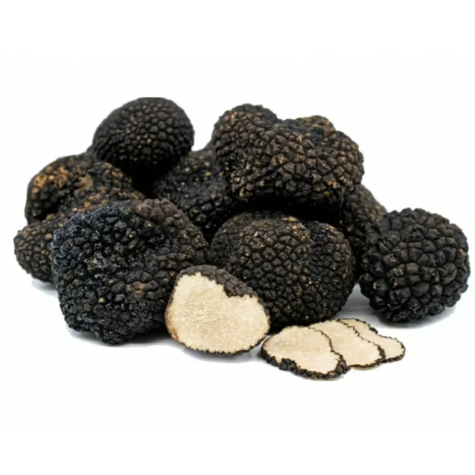 FRESH BLACK SUMMER TRUFFLE