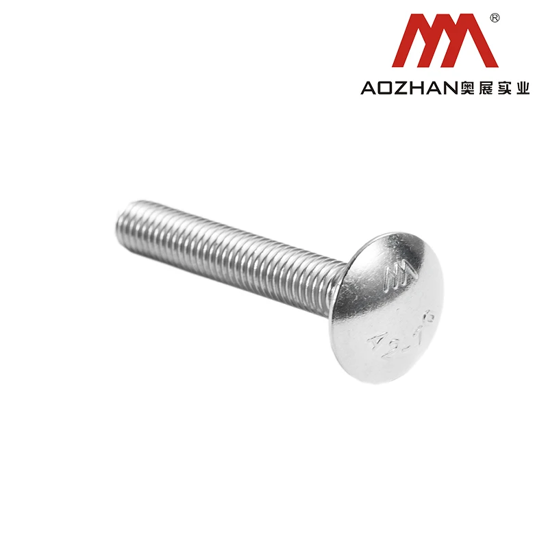 High quality price concessions DIN603 SS304 Coach bolts industrial use Coach  bolts