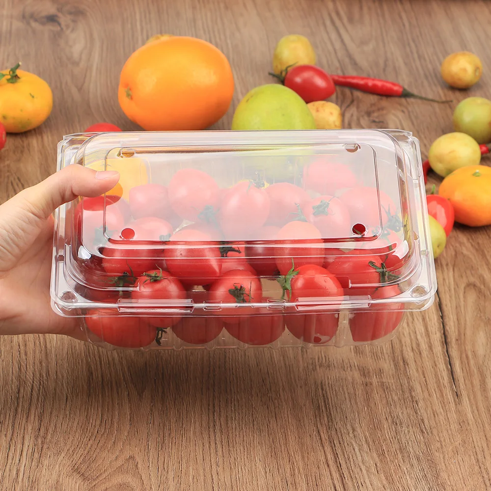 Plastic Blister Clamshell Food Eco-friendly Disposable