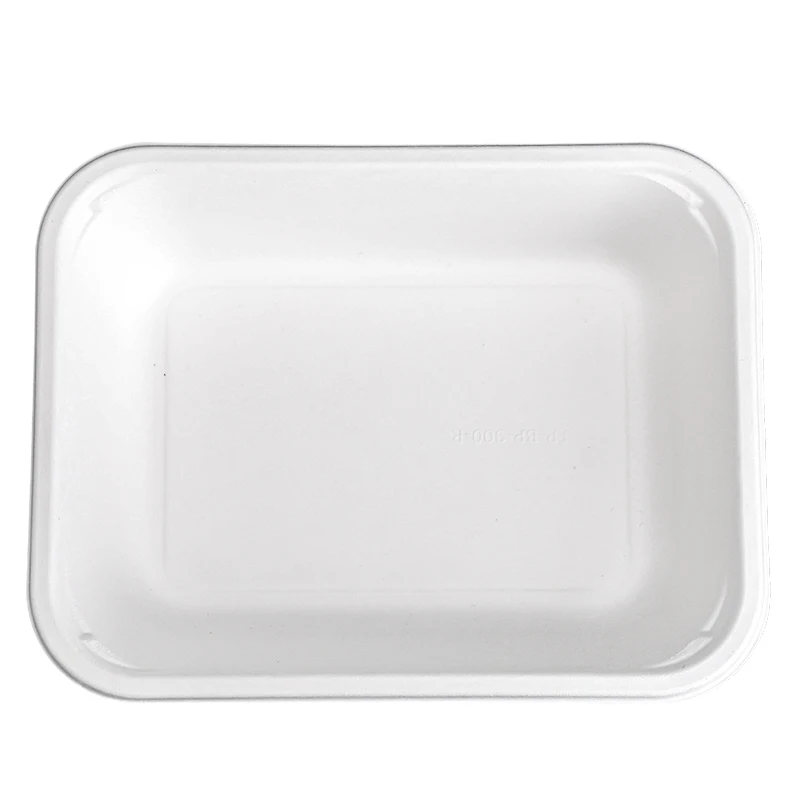 100% Compostable Free Sample bandeja biodegradable platos platos desechables sushi tray dinner plate set bagasse tray