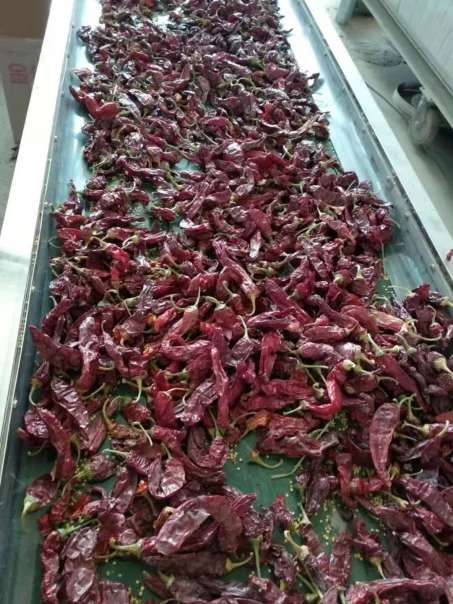 Spain Hungrain Style Paprika Piper Pepper Paprika Powder Pimentos