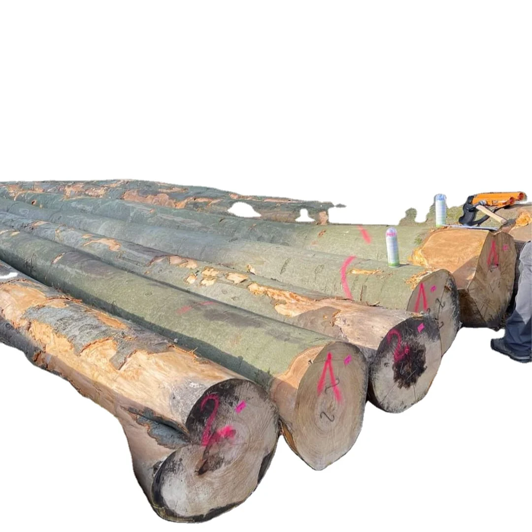 Awesome Top Quality Pine Logs teak logs factory whole sale price