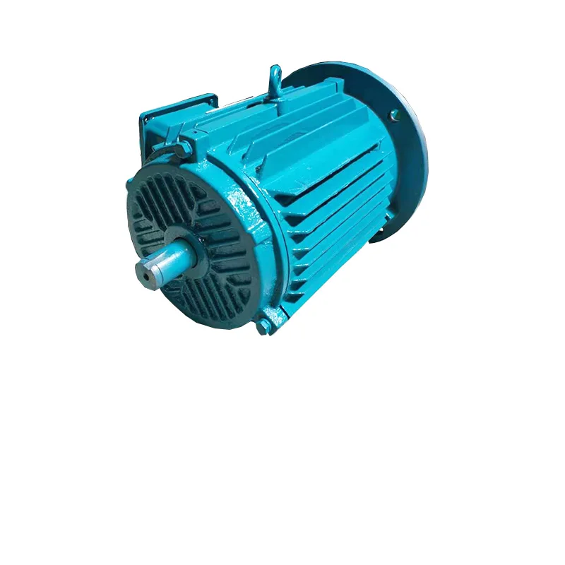 
Y Series Three Phase 2 Pole Asynchronous Electrical Motor 
