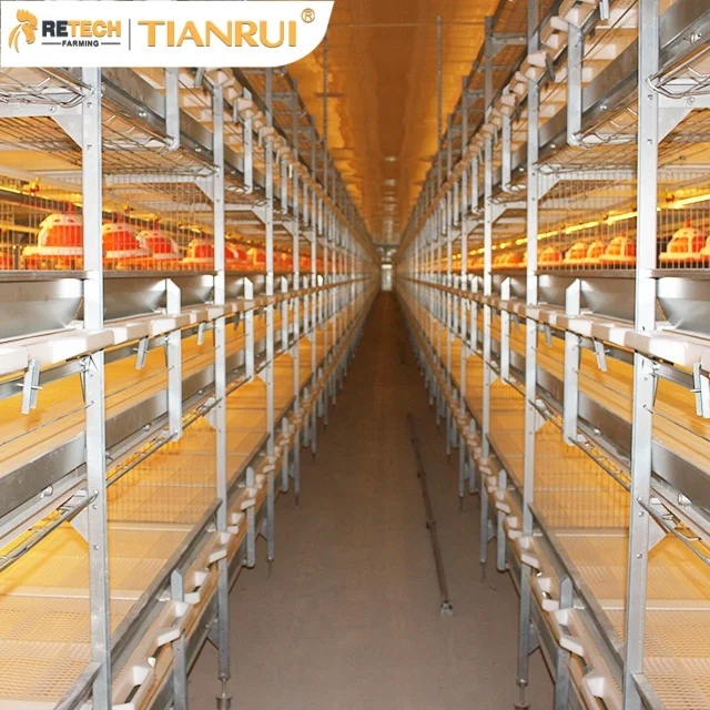 
Оборудование для птицеводства Broiler типа H, автоматическая система, аккумулятор для бройлера, клетка для цыплят 