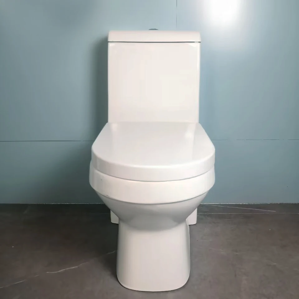 personal production line ceramic water closet toilet big size