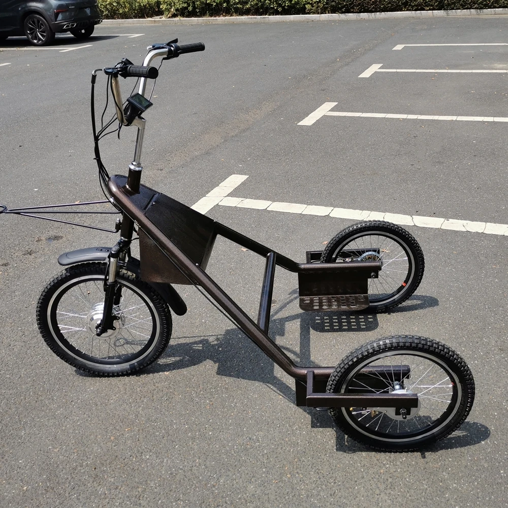 
Adult Trike 3 Wheels Rickshaw Electric Tricycle for Passengers 