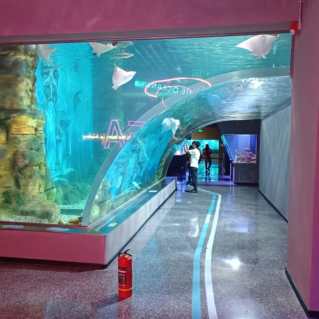 XC Подгонянный акриловый стеклянный аквариум для проекта аквариума