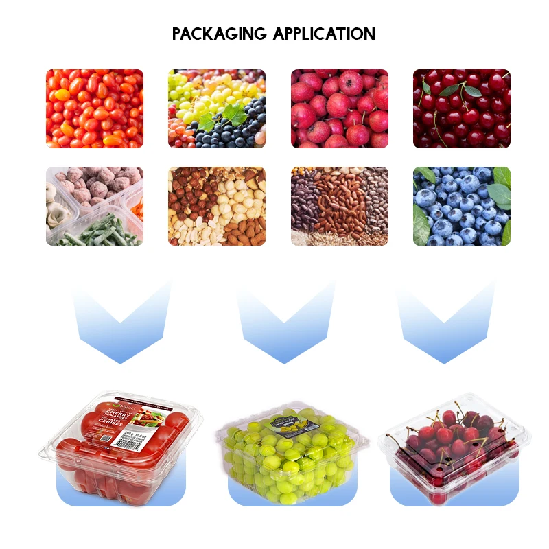 full automatic filling Production Packing Line Small tomato fruit crisper box packaging line