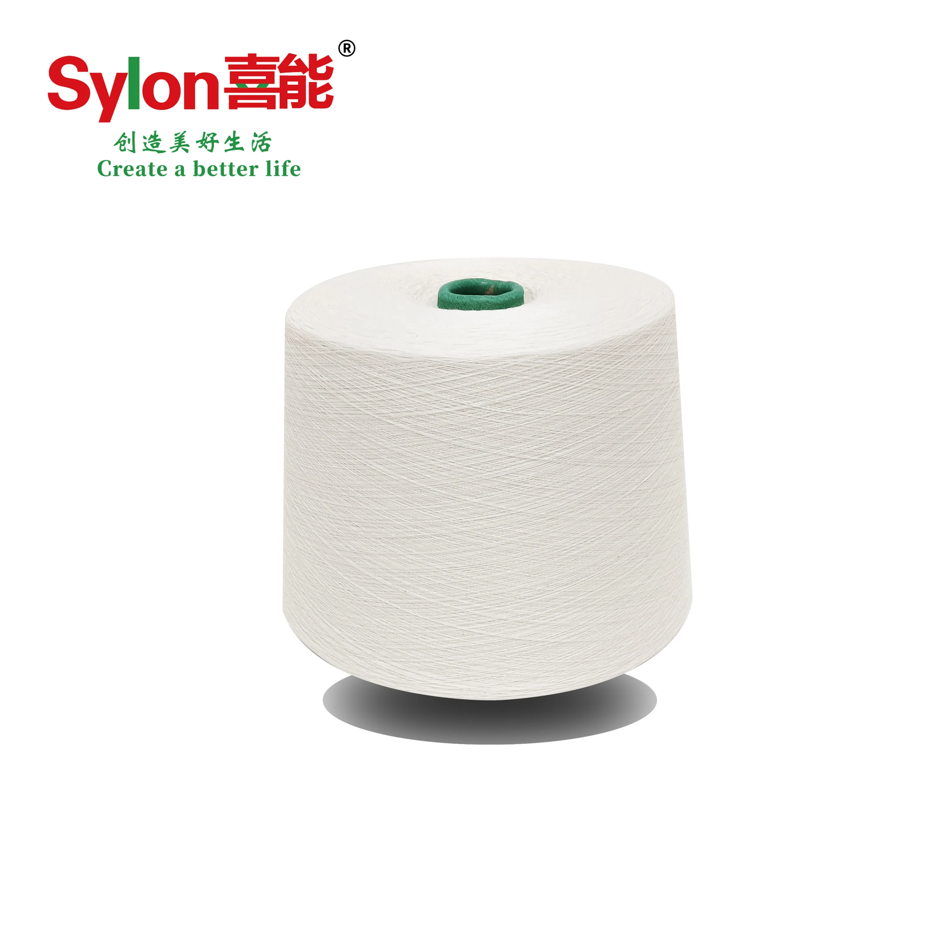 Factory Directly Sale High Tenacity Wear and Corrosion Resistance High Quality Nylon 6 Spun Yarn for Knitting Sportswear Socks