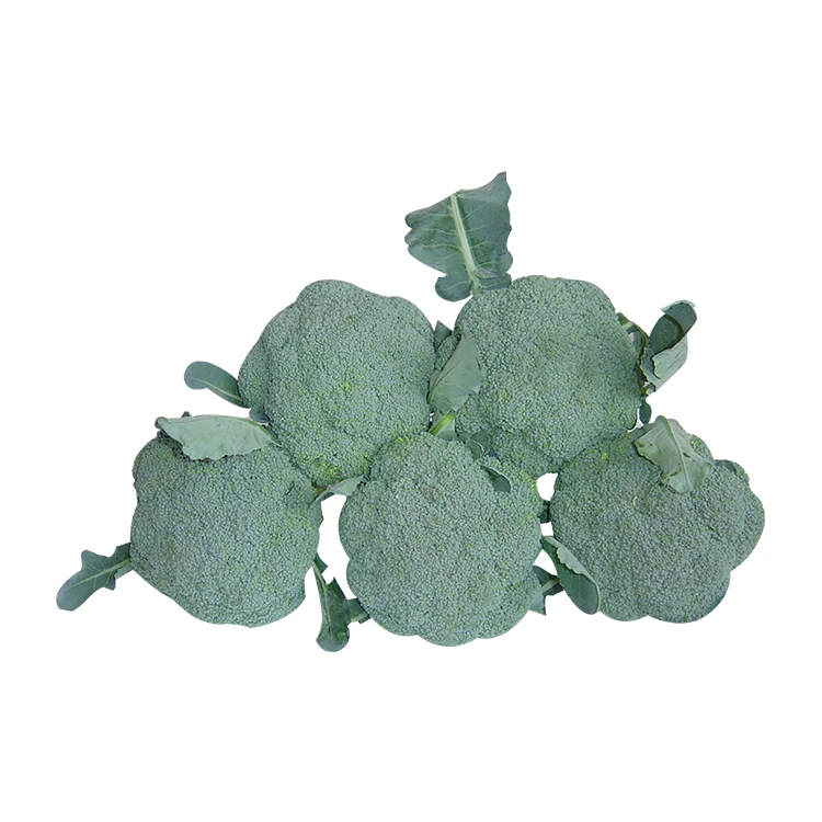 
New crop high quality bulk fresh vegetable green chinese broccoli 