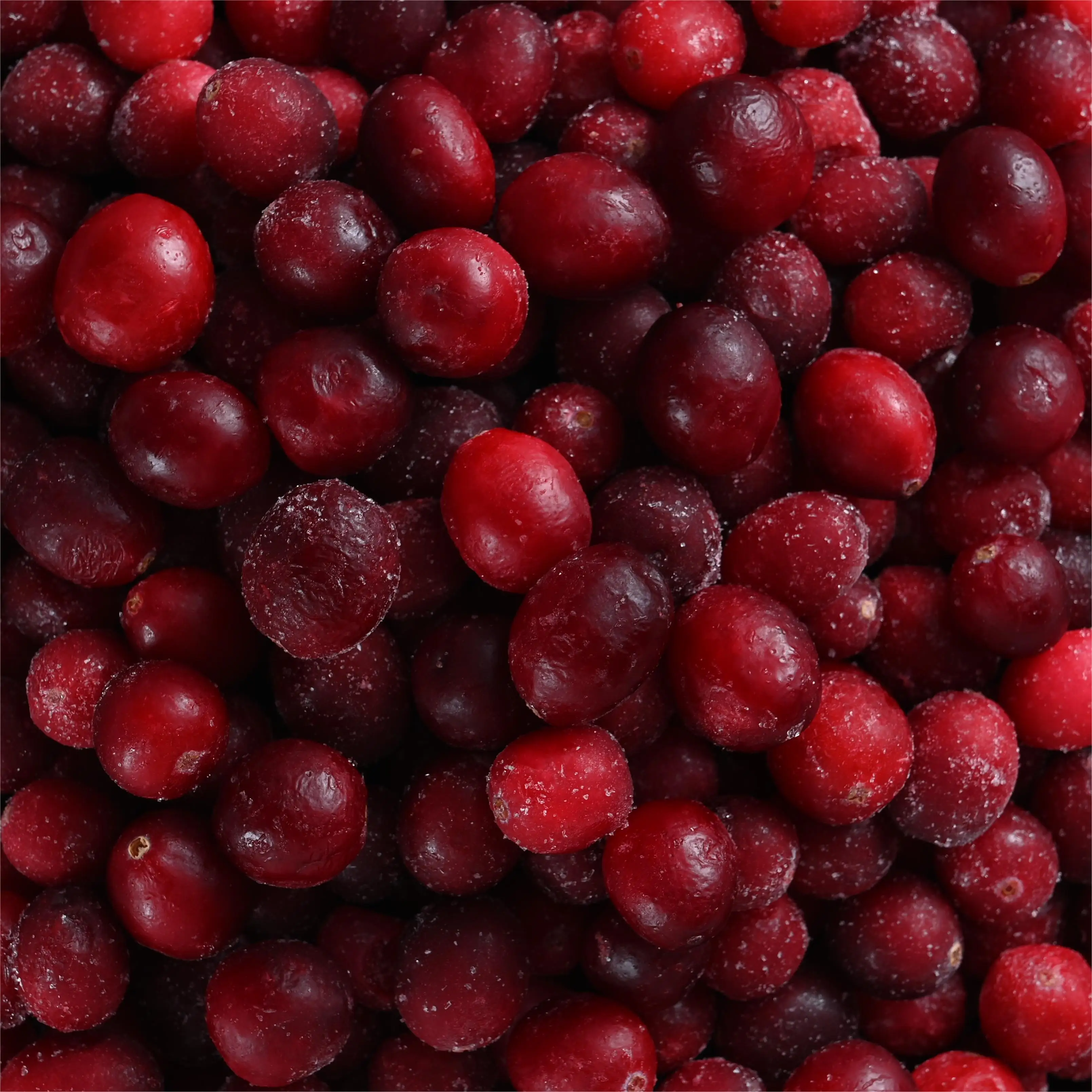 factory direct export frozen cranberry wholesale frozen cranberries