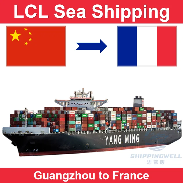 LCL Sea Freight Shipping From Shenzhen Guangzhou Shanghai Ningbo China to France by Door to Door and Customs Clearance Services
