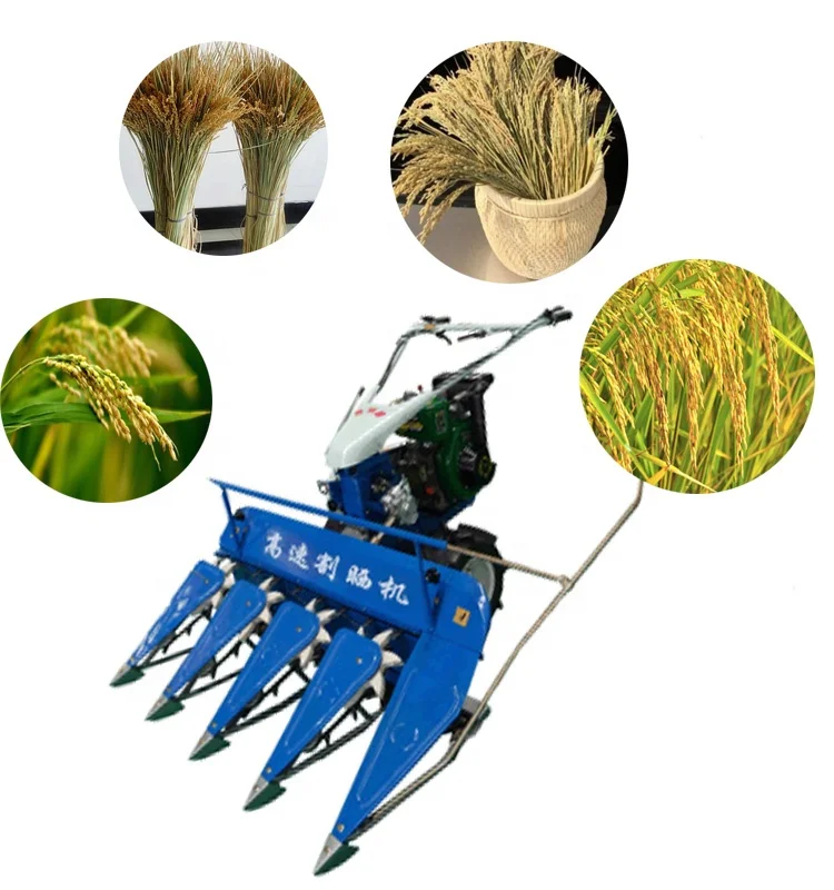New Rice Wheat Cutter Small Mini Combine Harvester Supply